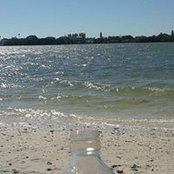 Julie Nibert's photo