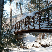 bridges