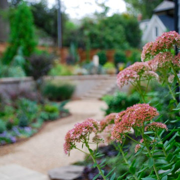 Selwyn Project: Backyard revisited