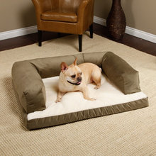 dog bed