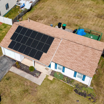 New Project
