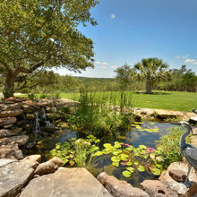pond