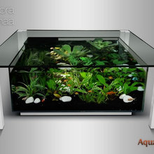 Aquariums Tables basses