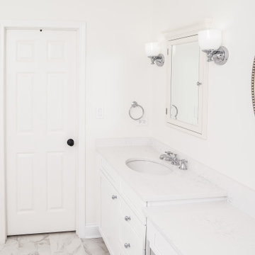 Master & Common Bath Remodel in Park Ridge