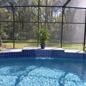 Custom Swimming Pool with Fire and Water Features in Apopka, Florida