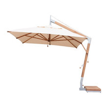 UMBRELLAs