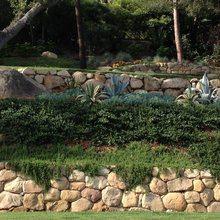 Side yard