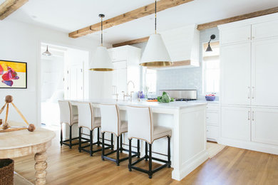 Kitchen - transitional kitchen idea in Chicago