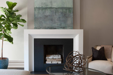 Transitional living room photo in Chicago