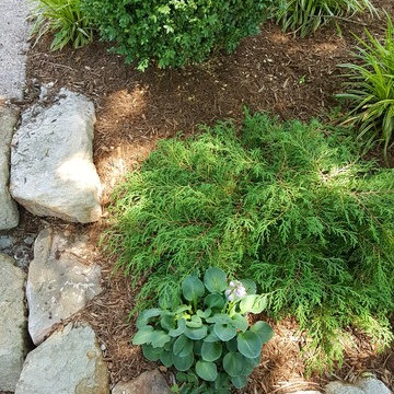 Shadyside Entry Garden