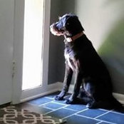 Chad Murray's photo