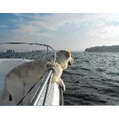 Nathaniel Wellin's photo