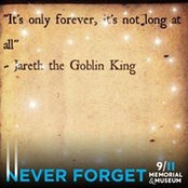 Kimberly Hein's photo