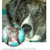 Danielle D Rvt's photo