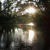 Bev Denning's photo