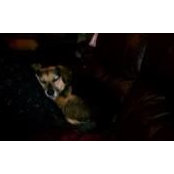 Lynda Streckert-Tripoli's photo