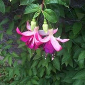 Suzanne McKnight's photo