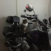 David Nathan's photo