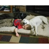 Joe Bailey's photo