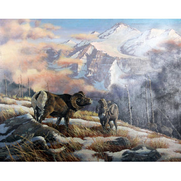 Marcel Bordei, Bighorn Sheep, Oil Painting