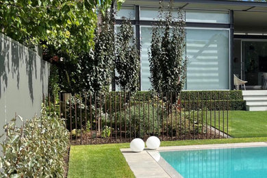 Design ideas for a mid-sized contemporary backyard garden in Adelaide.