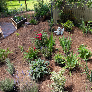 Veggie Garden Makeover