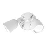 WAC Lighting - WAC Lighting Endurance Double Spot Light LED 3000K Warm White, White - Reliable and durable, the double Endurance Spotlight is made of sturdy aluminum and shines light where you need it most. When hung on an exterior wall, the Endurance keeps side yards, patios and decks awash with light. And with its sleek, modern casing, this light is great for contemporary outdoor settings and building facades.