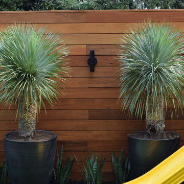 Mid-Century Modern Backyard - Oakland