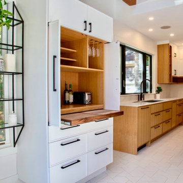 Contemporary Kitchens