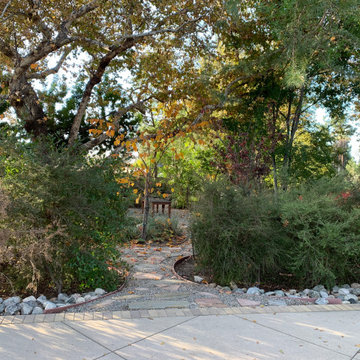 California Craftsman Forest - 5 Years Later