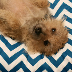"at the shop" photos - Pet Supplies