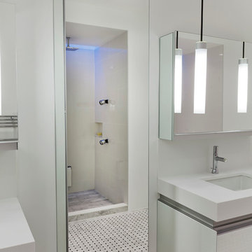 Modern St. Paul Bathroom
