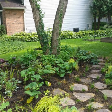 Rockford mulch-less front yard
