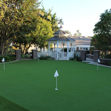 Transformed Lawn Area