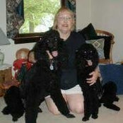Donna Lambing's photo
