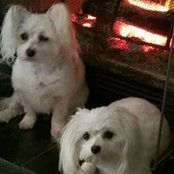 Loretta Luther's photo