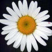 Shelley Kepple's photo