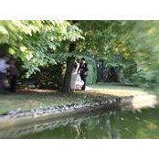 Tarek Abz's photo