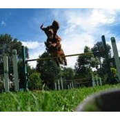 Jonathan Basabe's photo