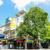 Photo de Long Vu Dinh
