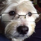 Leigh Shephard's photo