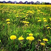Snap Landscapes foto