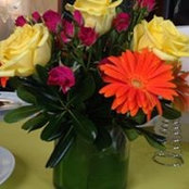 Rachel Dalton's photo