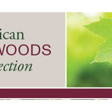 Wood Species Decisions