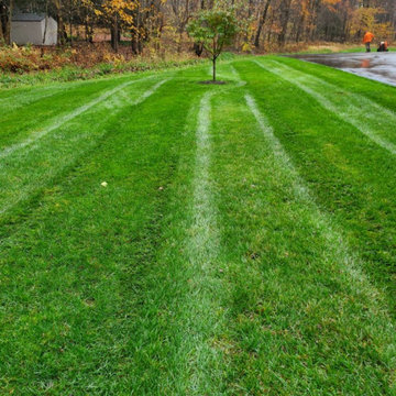 Woodbridge, CT | Landscaper Near Me | Best Lawn Care Professionals | Landscaping