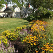 Landscape Ideas