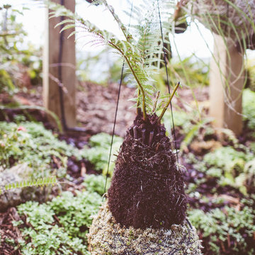 Suspended Forest