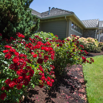Turner Estate