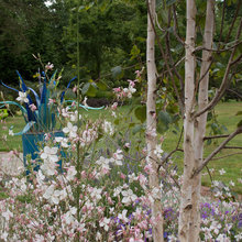 Rolling Creek Garden
