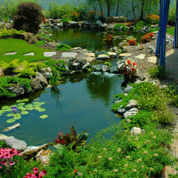 Twin ponds, one pond for fish, and one pond for water plants